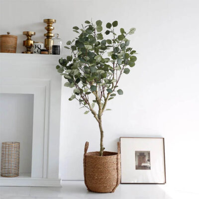 Home Interiors & Accessories