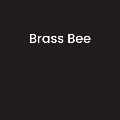 Brass Bee